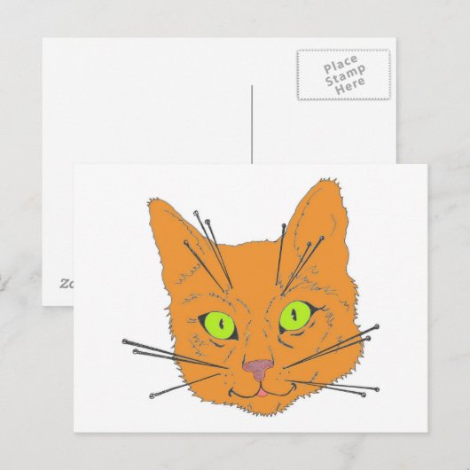 ネコのヒゲ ポストカード (正面/裏面)