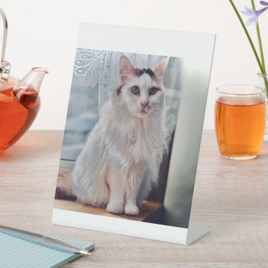 ネコのペダスタル 台座サイン (インサイチュ)