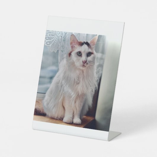 ネコのペダスタル 台座サイン (正面)