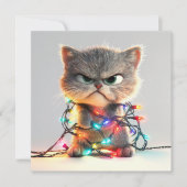 ネコのホリデー カオス ホリデー カード (正面)