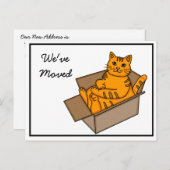 「ネコの入った箱」引越しのお知らせ 新住所 案内ポストカード (正面/裏面)
