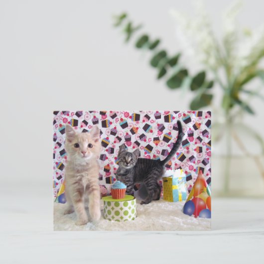 ネコの誕生日おめでとう - ネコのポストカード ポストカード (スタンド正面)
