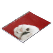 ネコの足 ノートブック (左側)