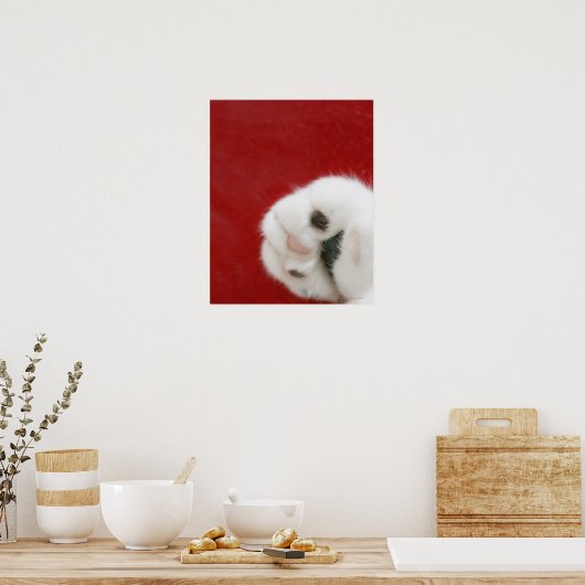 ネコの足 ポスター (キッチン)