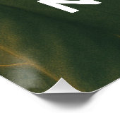 ネコは税金を払わない：ネコの抜け穴 ポスター (コーナー)