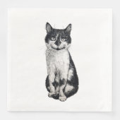 ネコを運ぶ (正面)