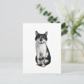 ネコを運ぶ ポストカード (スタンド正面)