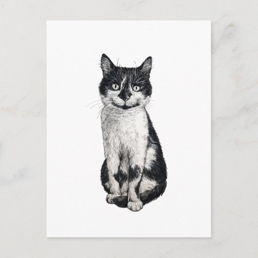 ネコを運ぶ ポストカード (正面)