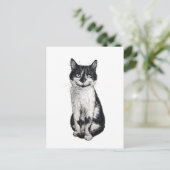 ネコを運ぶ ポストカード (スタンド正面)