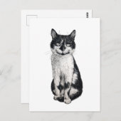 ネコを運ぶ ポストカード (正面/裏面)