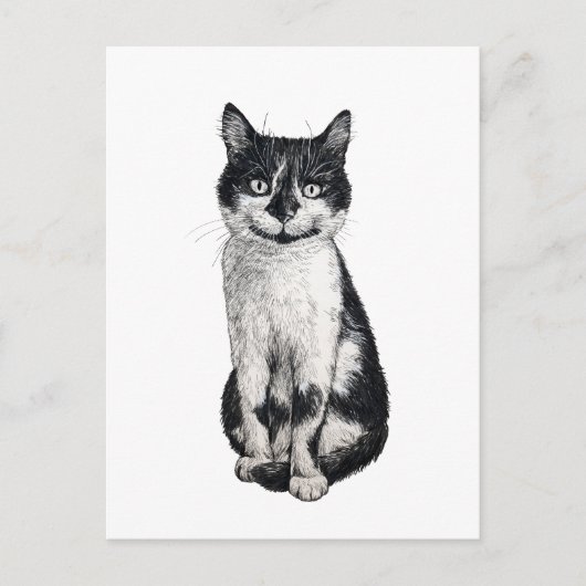 ネコを運ぶ ポストカード (正面)