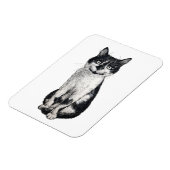 ネコを運ぶ マグネット (左側)