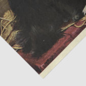 ネコエフェメラデコパージュ白黒ペルシャン 薄葉紙 (詳細)