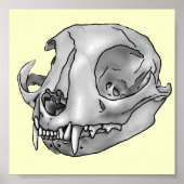 ネコスカル ポスター (正面)