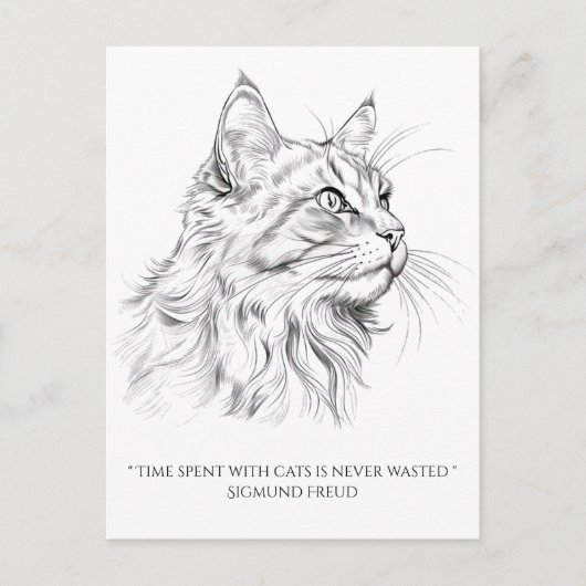 ネコスケッチ ポストカード (正面)