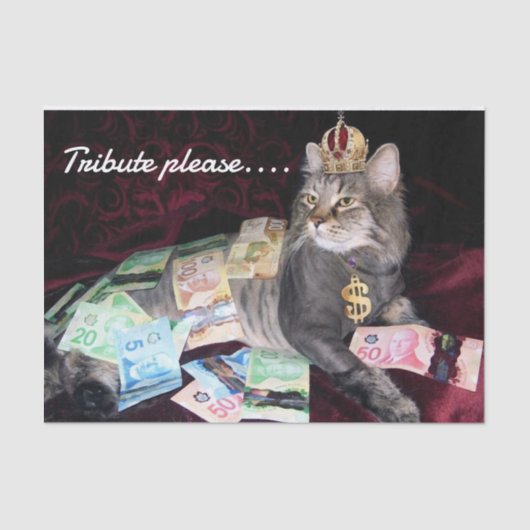 ネコティッシュペーパー 薄葉紙 (正面)