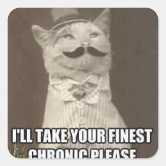 ネコファンシーステッカー スクエアシール