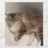 ネコボトルラベル ワインラベル (シングルラベル)