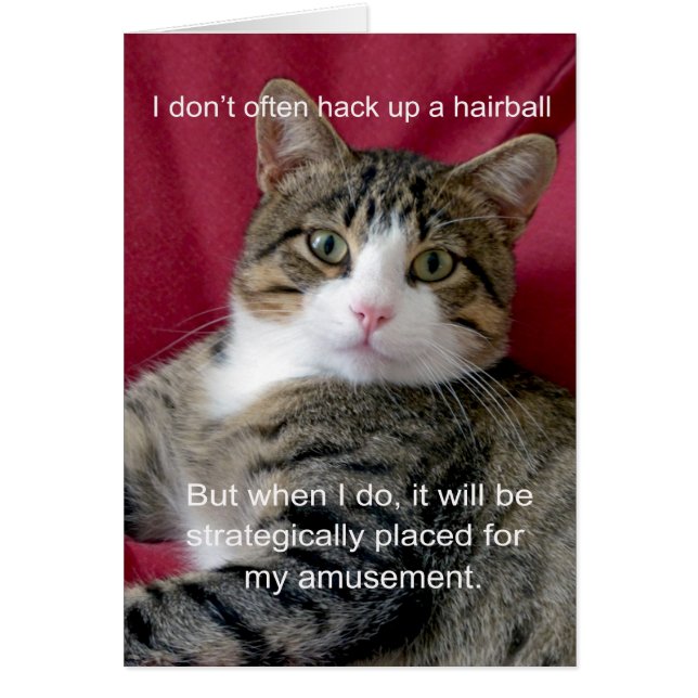 ネコミーム (正面)