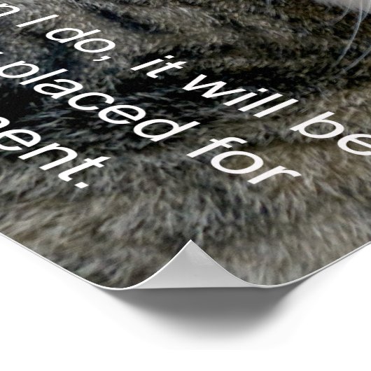 ネコミーム ポスター (角)