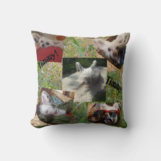 ネコヤナギおよびかわいい犬 クッション (正面)