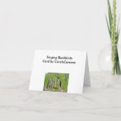 ネコヤナギのメッセージカードの赤飛んだクロドリ カード (裏面)