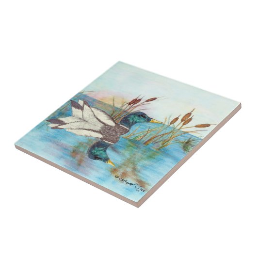 ネコヤナギの間 タイル (側面)