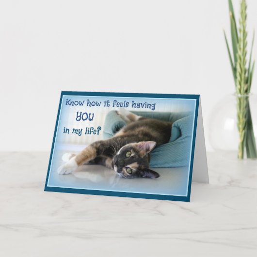 ネコ好きな人のためのバレンタインカード サンキューカード (正面)