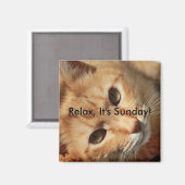 ネコ引用文 マグネット (正面/裏面)