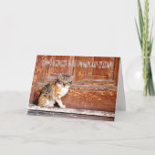 ネコ救助者への感謝のグリーティングカード サンキューカード (正面)