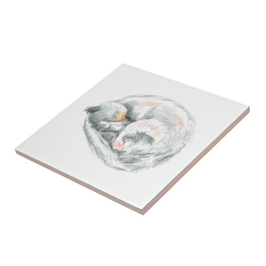 ネコ昼寝 タイル (側面)