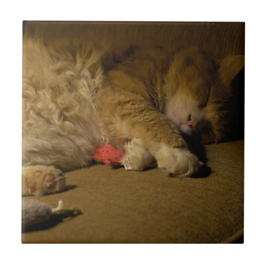ネコ昼寝 タイル (正面)