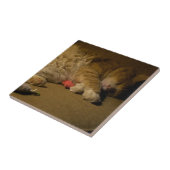 ネコ昼寝 タイル (側面)