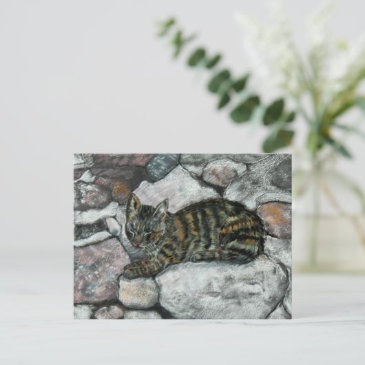 ネコ昼寝 ポストカード (スタンド正面)