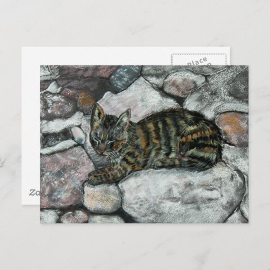 ネコ昼寝 ポストカード (正面/裏面)