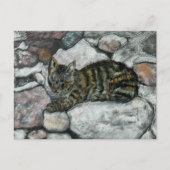 ネコ昼寝 ポストカード (正面)