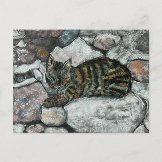 ネコ昼寝 ポストカード (正面)