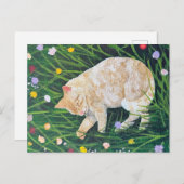 ネコ昼寝 ポストカード (正面/裏面)