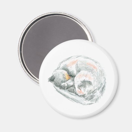 ネコ昼寝 マグネット (正面/裏面)