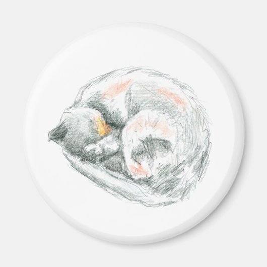 ネコ昼寝 マグネット (正面)