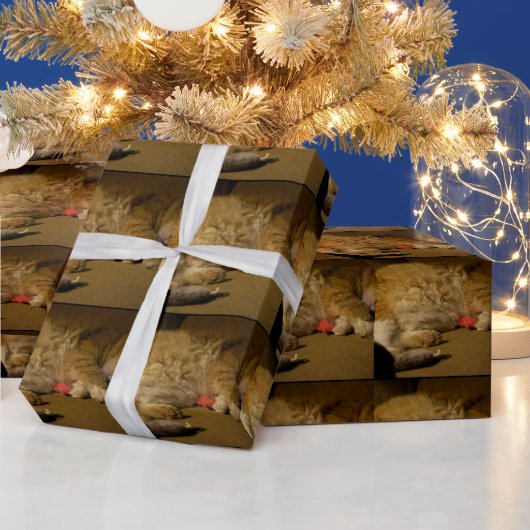 ネコ昼寝 ラッピングペーパー (クリスマス)