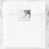 ネコ歩く スクエアシール (バッグ)