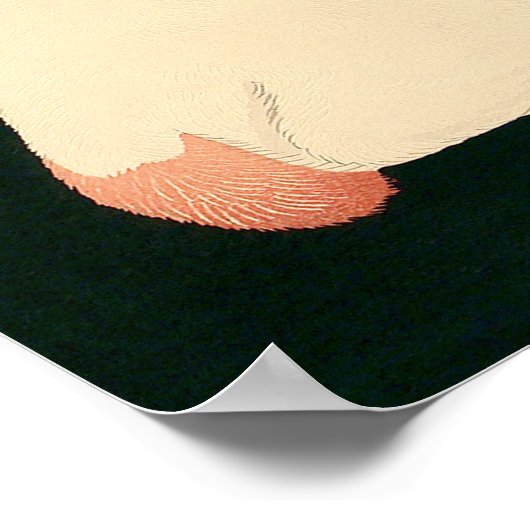 ネコ玉 ポスター (角)