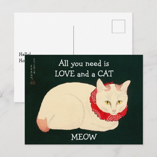 ネコ玉 ポストカード (正面/裏面)