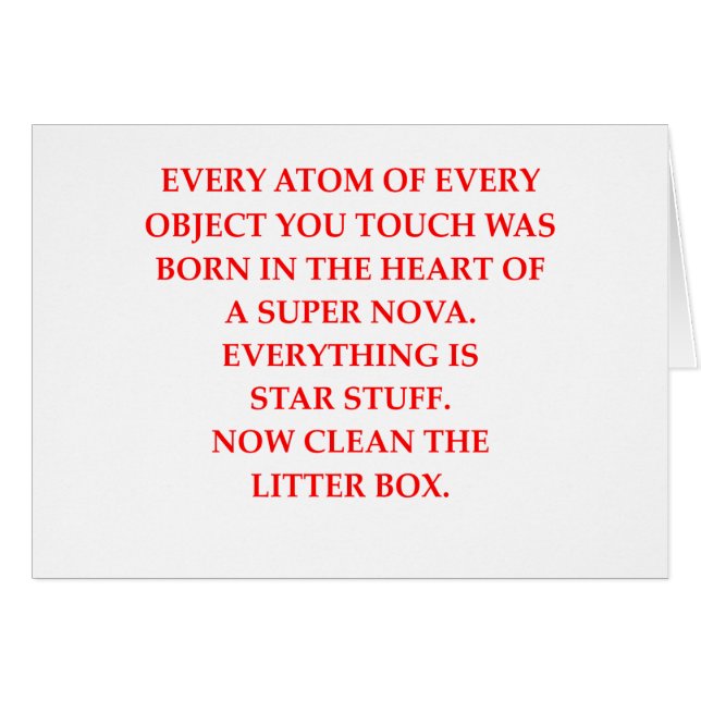 ネコ用のトイレ (正面横)