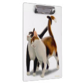 ネコ科の友人猫のクリップボード クリップボード (右)
