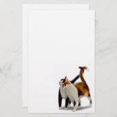 ネコ科の友人猫の文房具 便箋 (正面/裏面)