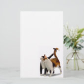 ネコ科の友人猫の文房具 便箋 (スタンド正面)