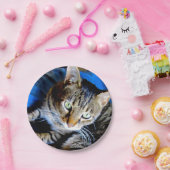 ネコ紙プレート ペーパープレート (パーティー)