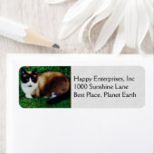 ネコ美しい ラベル (インサイチュ)